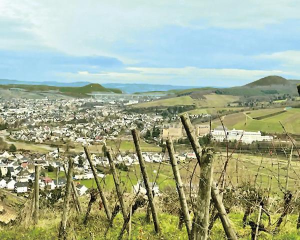 Pension Zum Ahrblick ジンツィッヒ エクステリア 写真